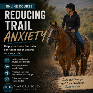 Course: Reducing Trail Riding Anxiety